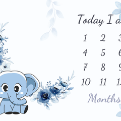 Elephant Baby Milestone Blanket