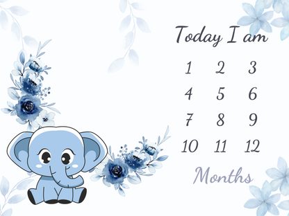 Elephant Baby Milestone Blanket